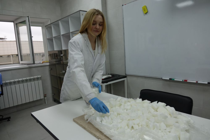 События НИУ «БелГУ» ниу «белгу» присоединился к всероссийской акции «теплота»