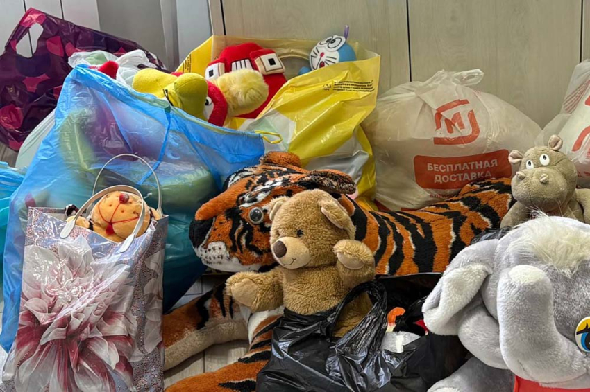 События НИУ «БелГУ» белгородский госуниверситет собрал 23 кг мягких игрушек для военных